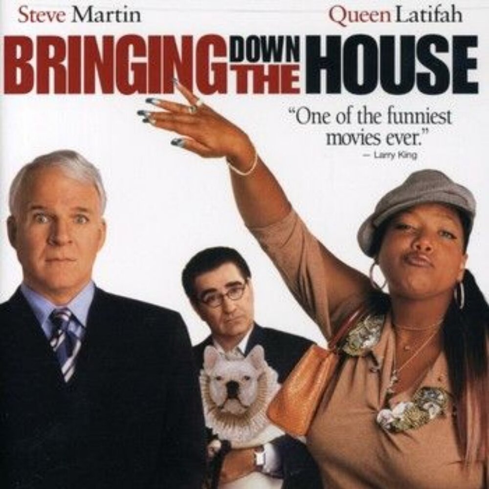 Bringing Down The House Widescreen DVD Comedy Steve Martin Queen Latifah 2003